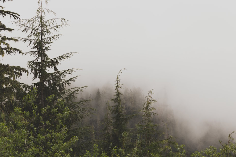 Enhancing horizontal scrolling with flickity js • iamsteve